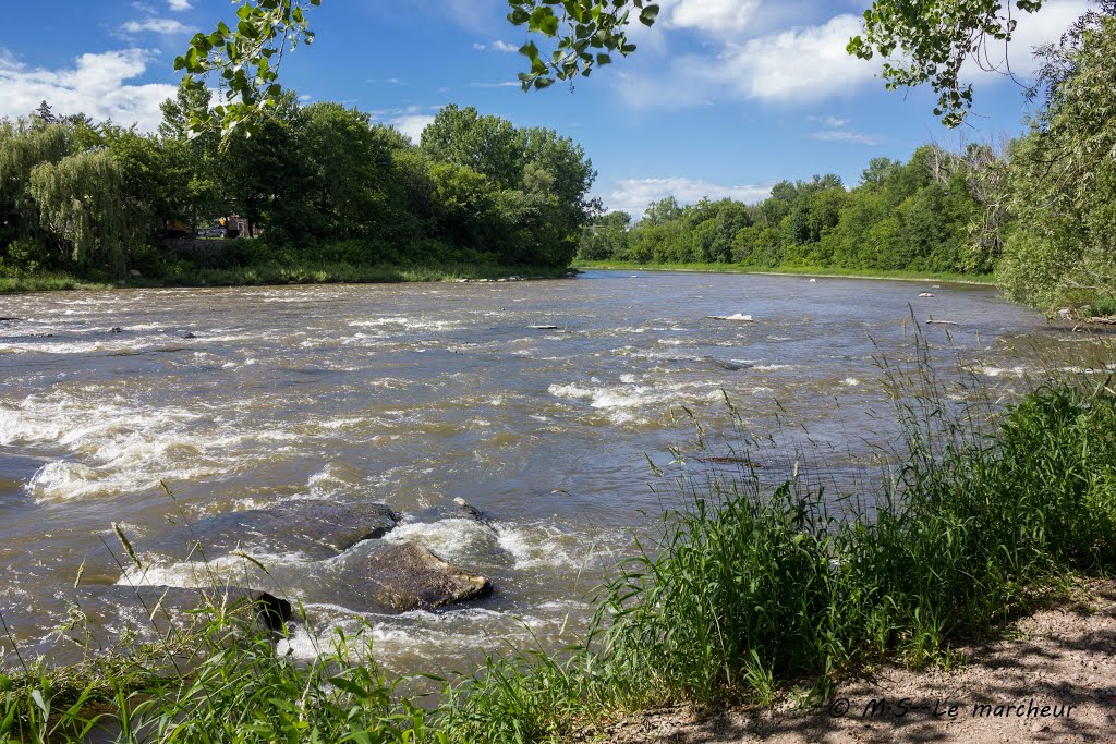 Parc Martineau by Le Marcheur