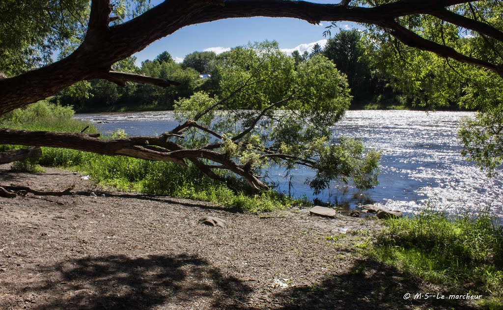 Parc Martineau by Le Marcheur