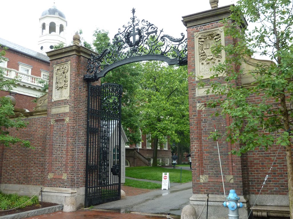 Harvard University Cambridge MA USA by Molly5859