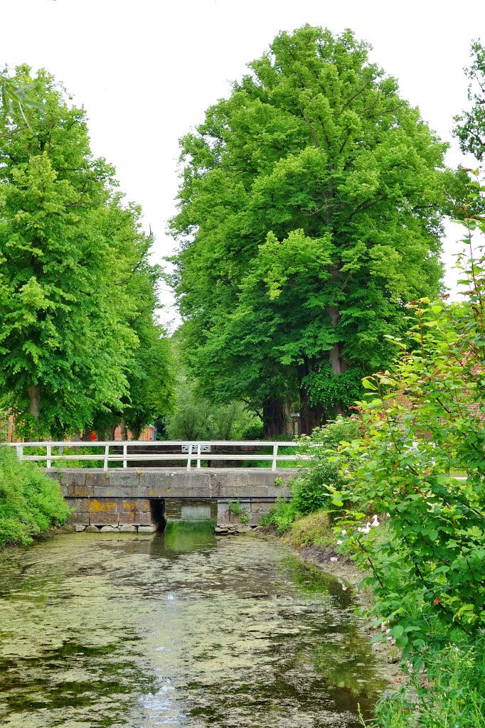 Chinesische Haubenenten an der Brücke - Kultur Gut Hasselburg by Rit@