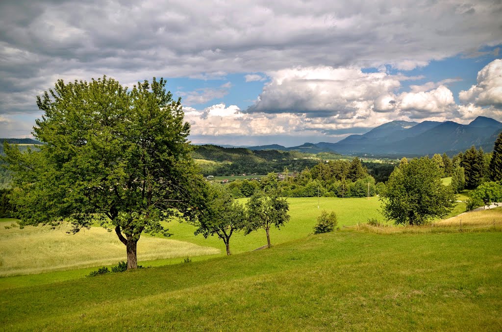 Der Himmel hatte sich mit Wolken überzogen, Gallizien by Jan Sosnowski