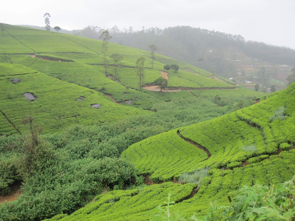 Badulla, Srí Lanka by Petr Sojka