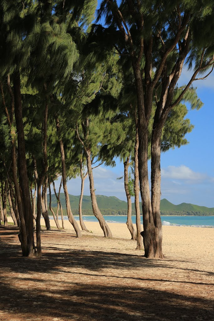 Waimanalo Beach, Waimanalo by Bob Linsdell