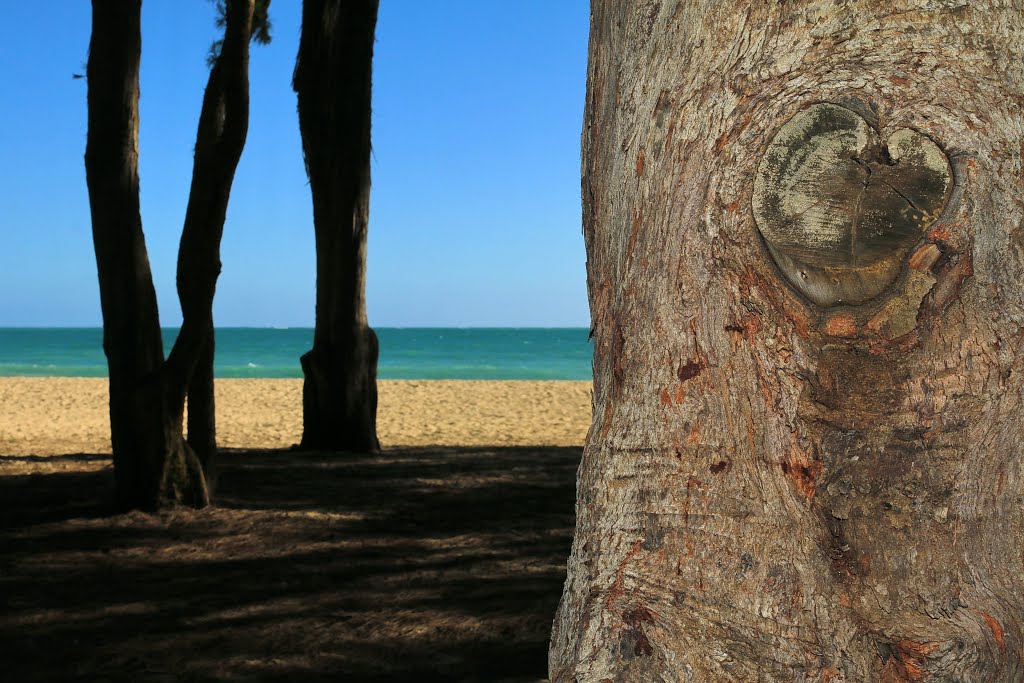 Waimanalo Bay State Recreation Area, Waimanalo by Bob Linsdell