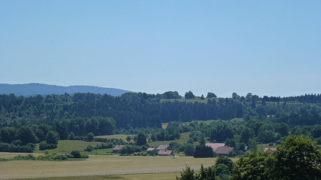 Paysage estival à Gilley. La fenaison autour du hameau des Arces vu depuis Le Bois Budard. by LOFAJE