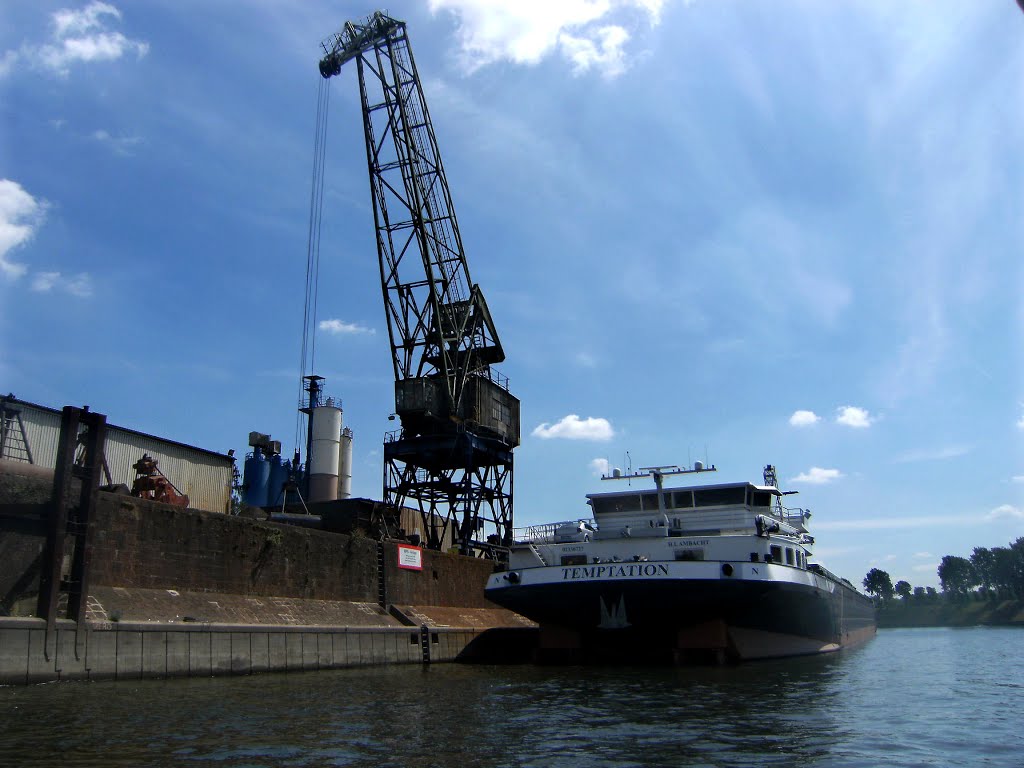 Versuchung im Hafen by Halogucker