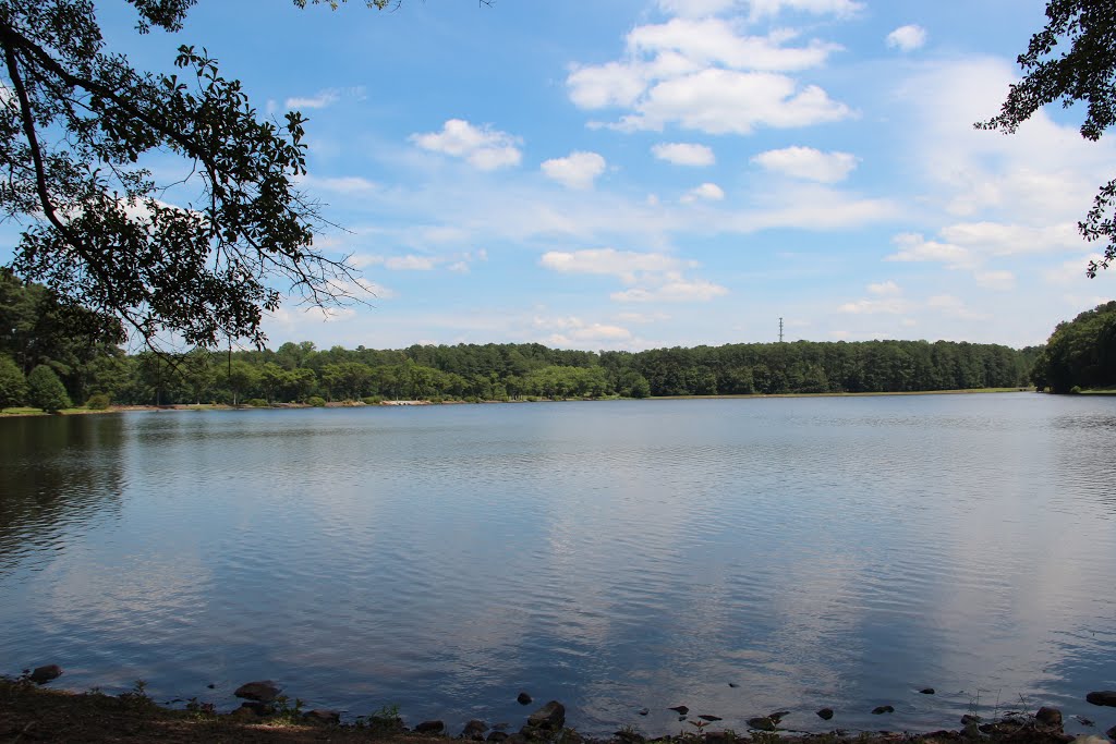 Richards Lake by Thomson M