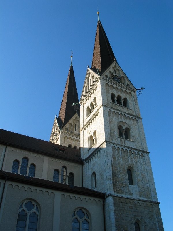 View on the towers of the church "St. Martin" from the parish-garden behind the church. by rettlin