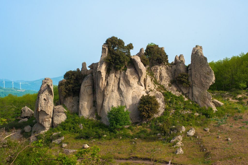 Argimusco: Riserva Naturale Orientata Bosco di Malabotta by Oliver Grebenstein