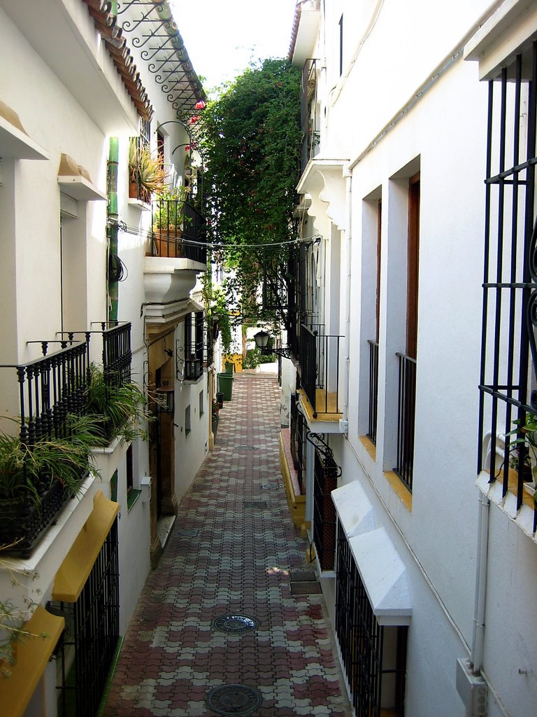 Calle de los Caballeros by Lagarto