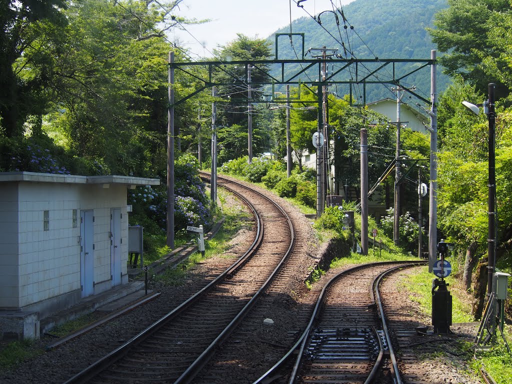 Ohiradai, Hakone, Ashigarashimo District, Kanagawa Prefecture 250-0405, Japan by 小西天