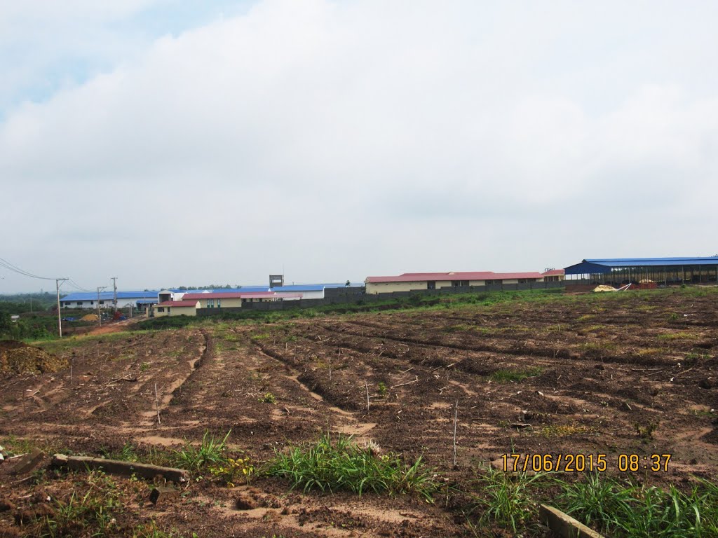 Inh Tâm, Bình Long, Bình Phước, Vietnam by Đăng Định