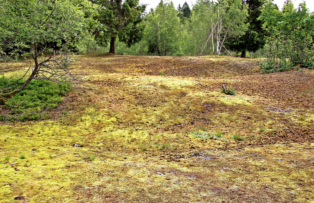 Steinach Griffelschieferabraum an der Fellbergbaude by Contessa