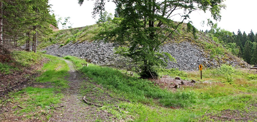 Steinach Griffelschieferabraum oberhalb der Fellbergbaude by Contessa