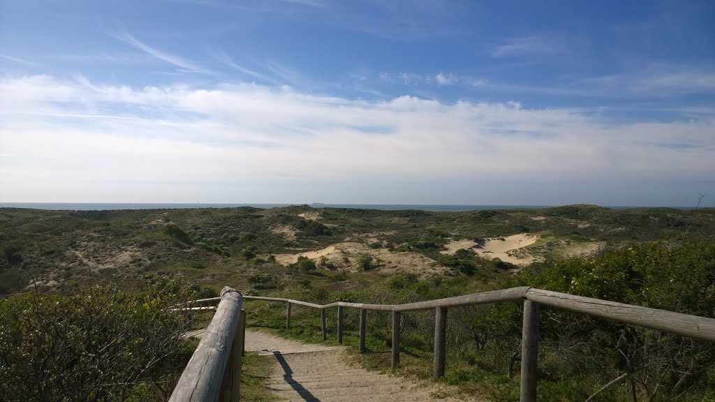 Uitkijkpunt richting Noordzee bij Wassenaar by vegte.wl