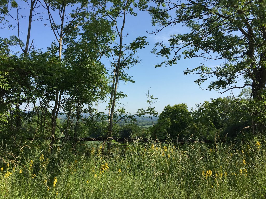 View toward Woking from the Hogs back by Julius Agricola