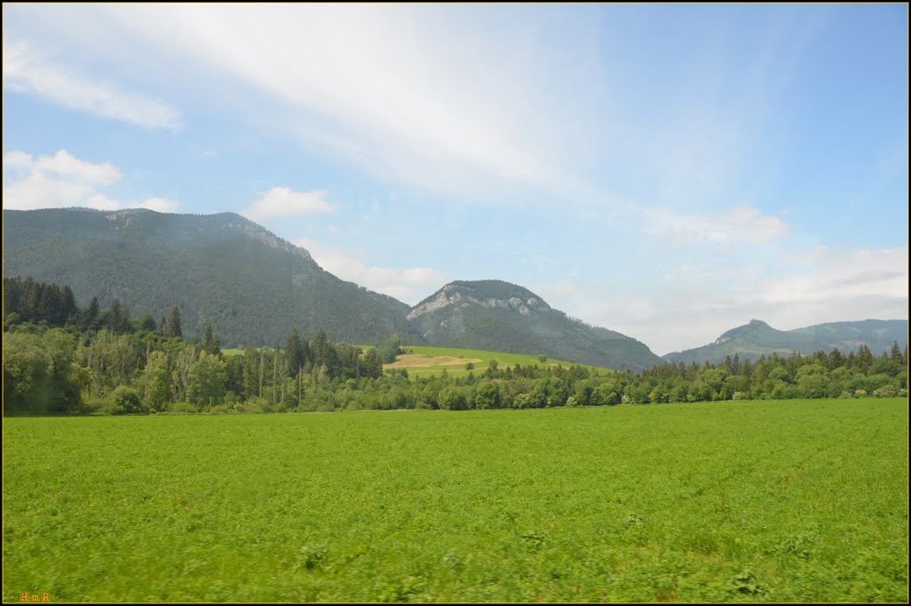 Hrádkové 1206m & Prosečné 1372m by Homer J