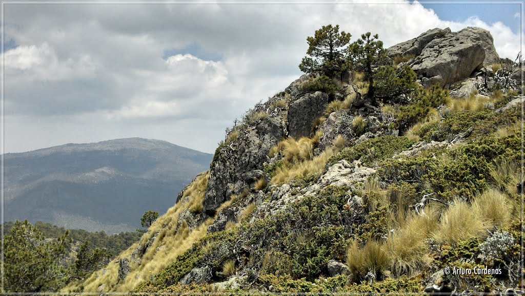 Cerro Telapon by Arturo Cárdenas L.