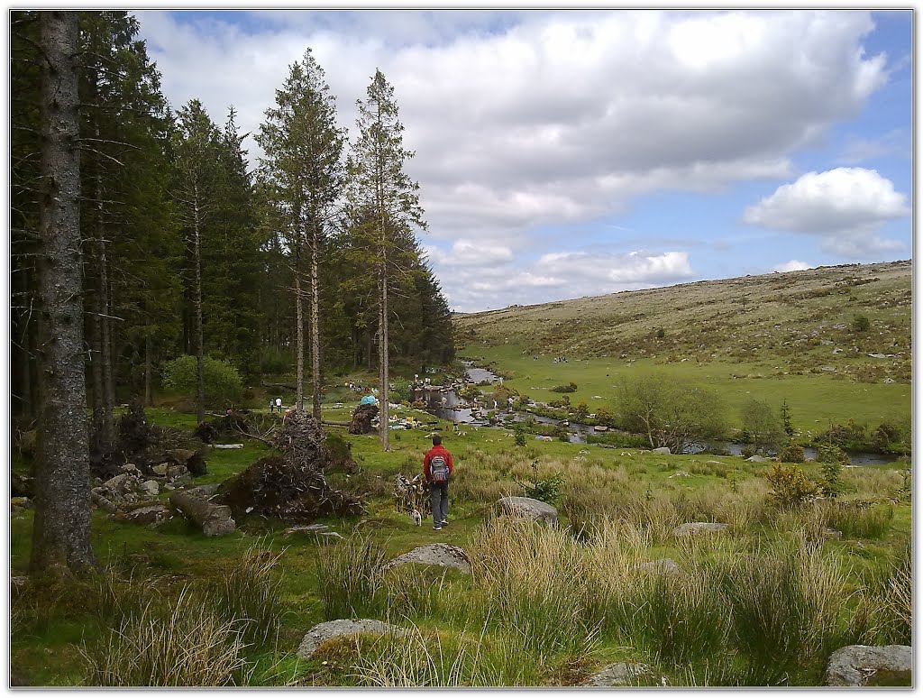 Dartmoor Forest, UK by Ricardo Tormo