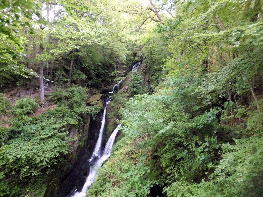 Stockghyll Force by M uba.