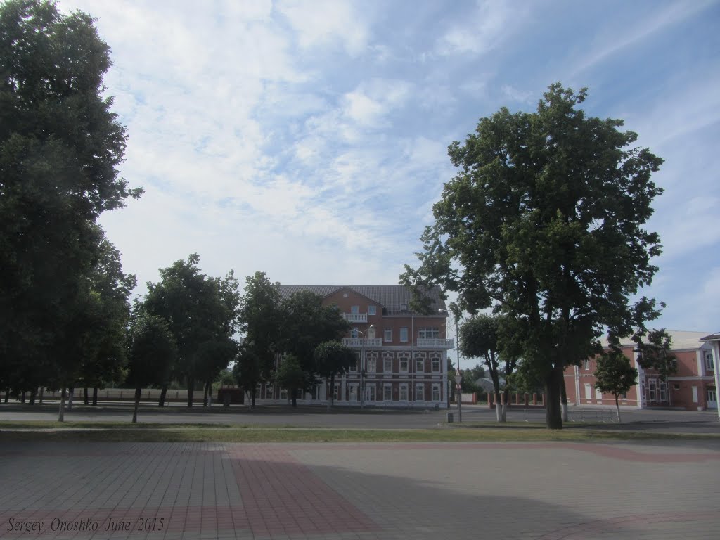 Orsha, Belarus by Sergey Onoshko