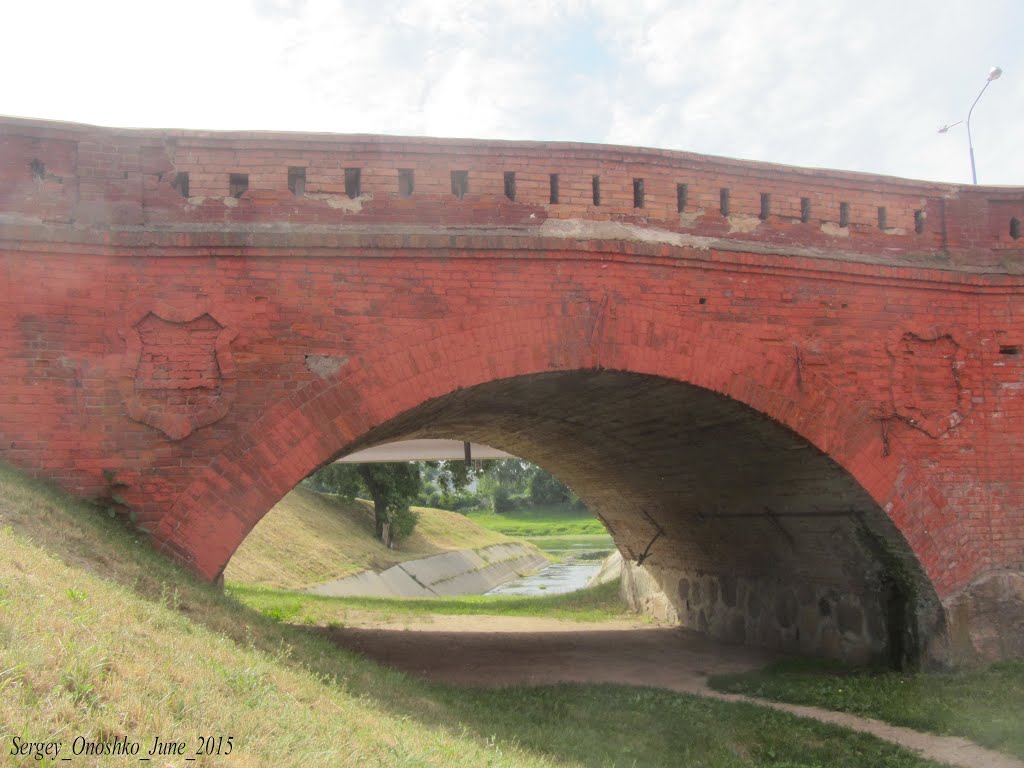 Orsha, Belarus by Sergey Onoshko