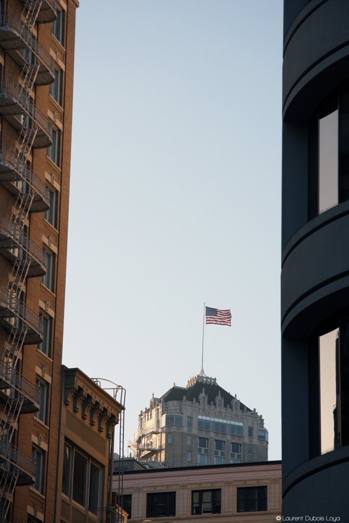 Flag, San Francisco by Laurent Dubois-Loya