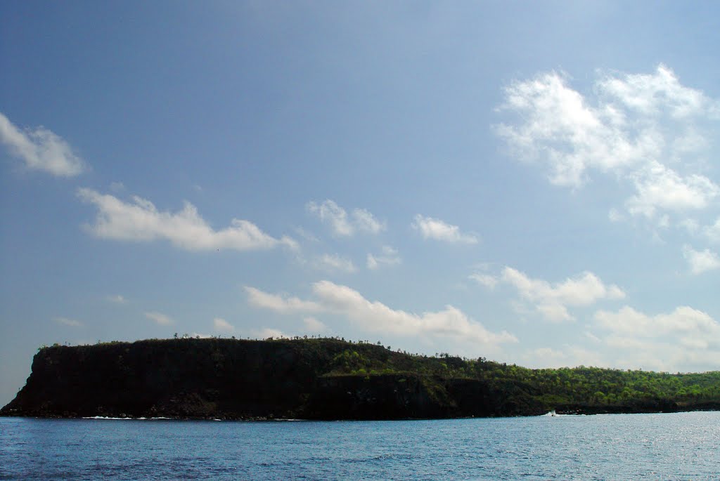 Isla Santa Fe, Galápagos, Ecuador by Alvaro Espinel