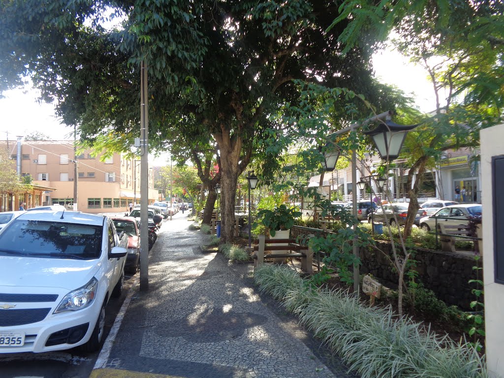 Águas de São Pedro - SP, Avenida Carlos Mauro. Esta é a principal avenida da cidade. by Edson Reis