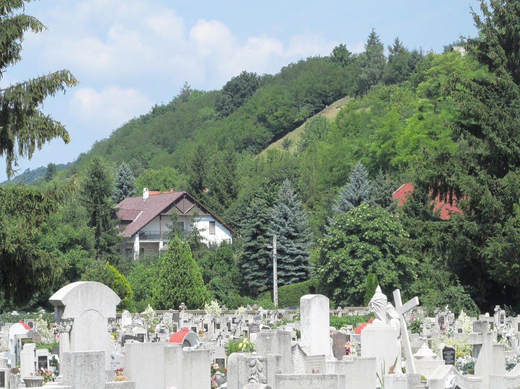 201507011110 Miskolc, hegyoldali táj a Kondor Béla utcai temető felől by Harmadik