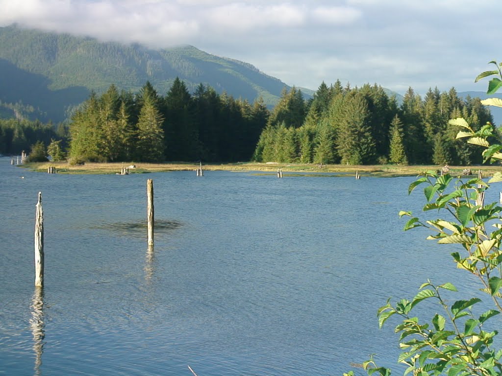 Port Renfrew, BC Canada by ZIPP