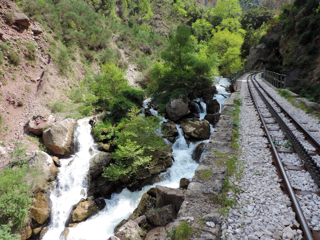 Vouraikos Gorge by Dimitris Georgouleas