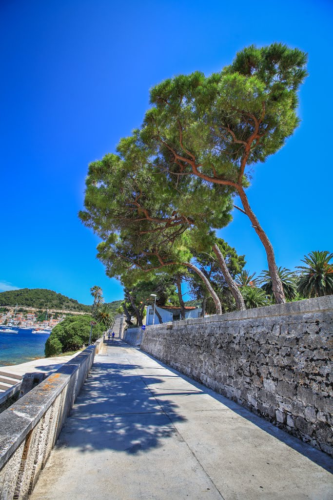 Town of Vis - Island Vis, Croatia by Vedran Tomac