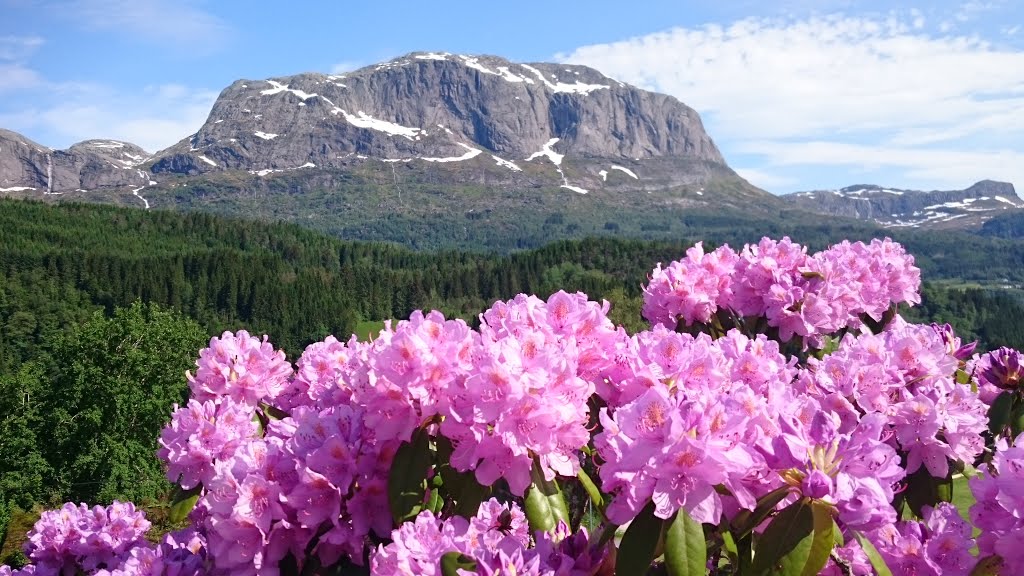 Gaular, Norway by Herman Jelstad