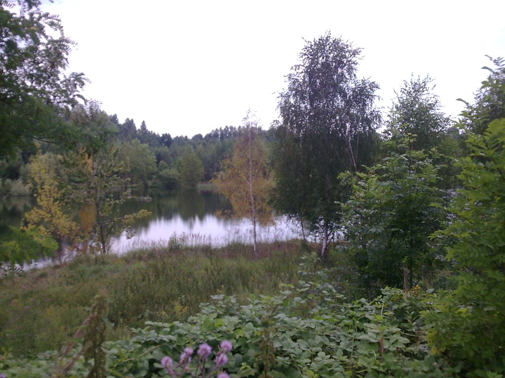 Staw przy ul. Ceglanej w Katowicach w sąsiedztwie szpitala by geo573