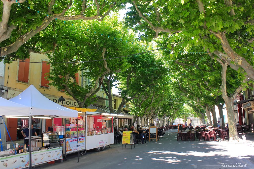 À l’Ombre des Platanes, le Village Provençal de Mouriès by Bernard Bost