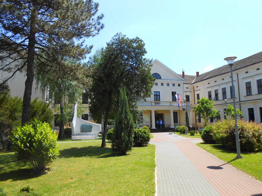 Šabac, Serbia by Марко Марић