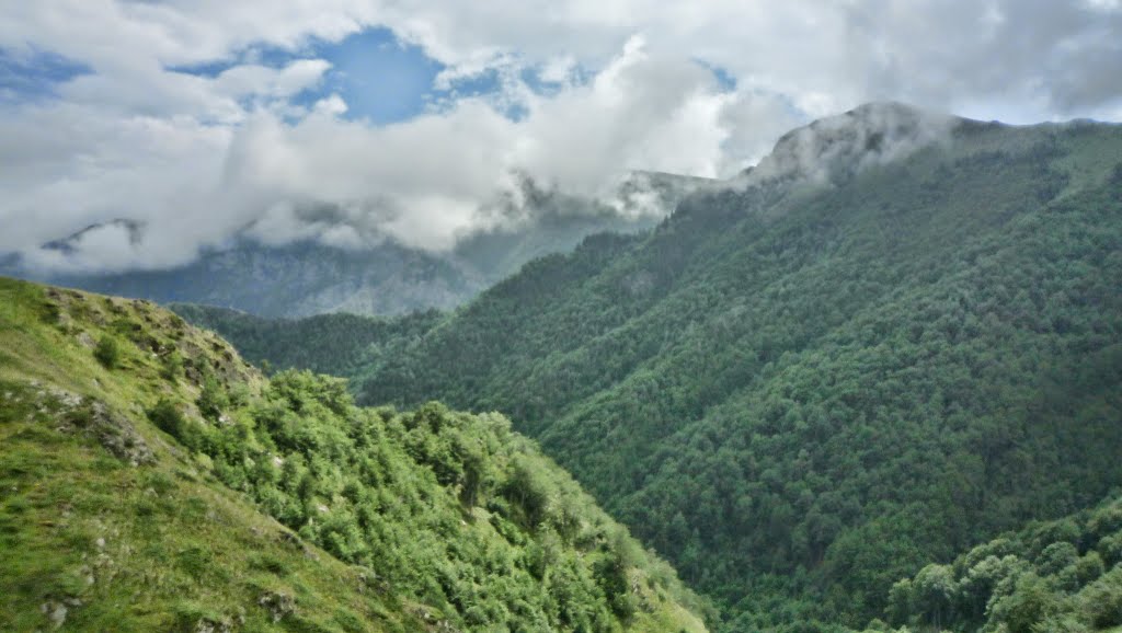 Bulgaria - Balkan Mountains - Central Balkan by Красимир Косев