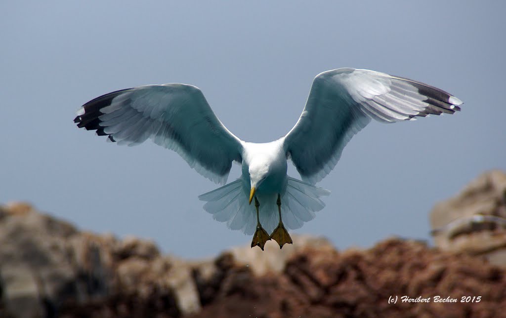 Maddalena Archipel, Sardinien by Heribert Bechen