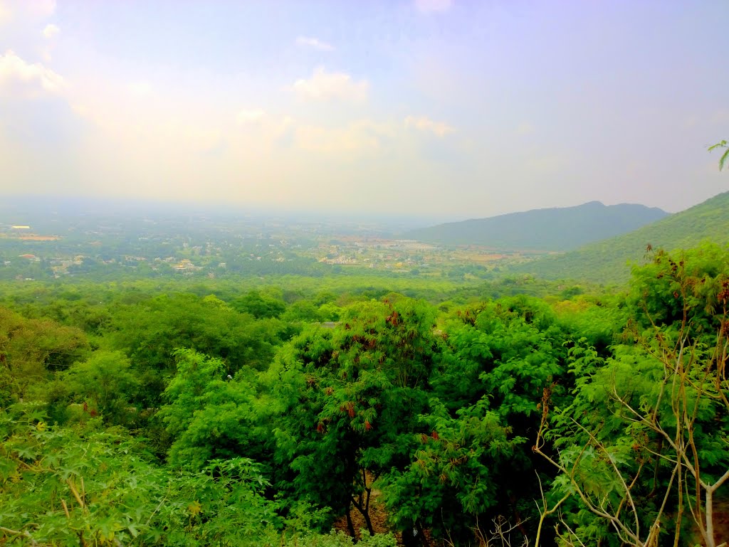 Thadagam R.F., Tamil Nadu, India by Kamalakar Anthati