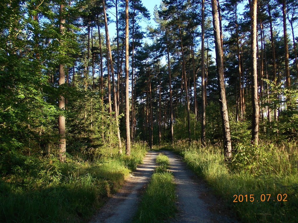 Stalowa Wola, Poland by kolano antoni