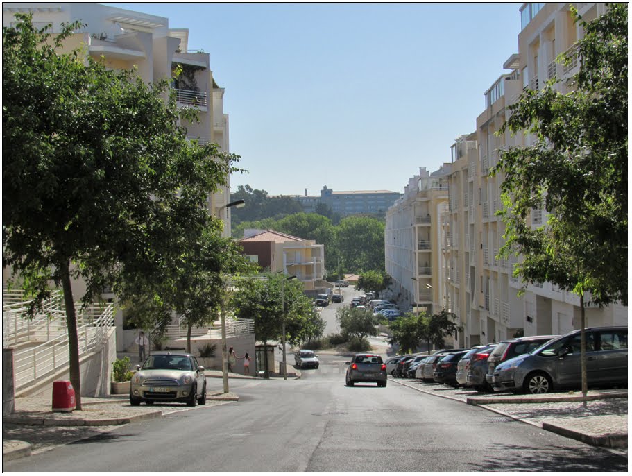 Rua Valentim Henrique - Quinta de São Martinho by André Barragon