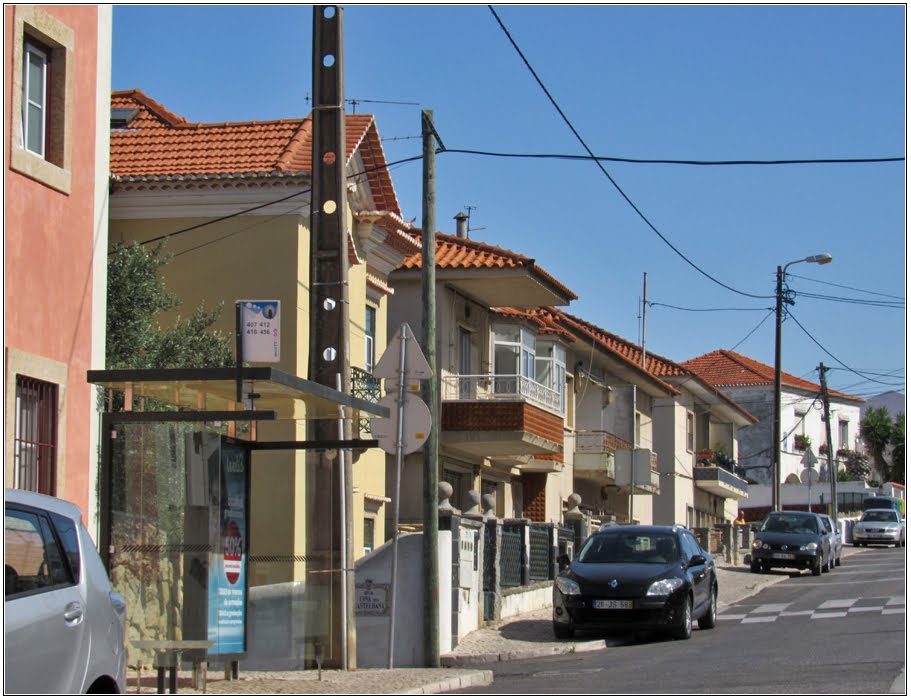 Avenida de Itália by André Barragon