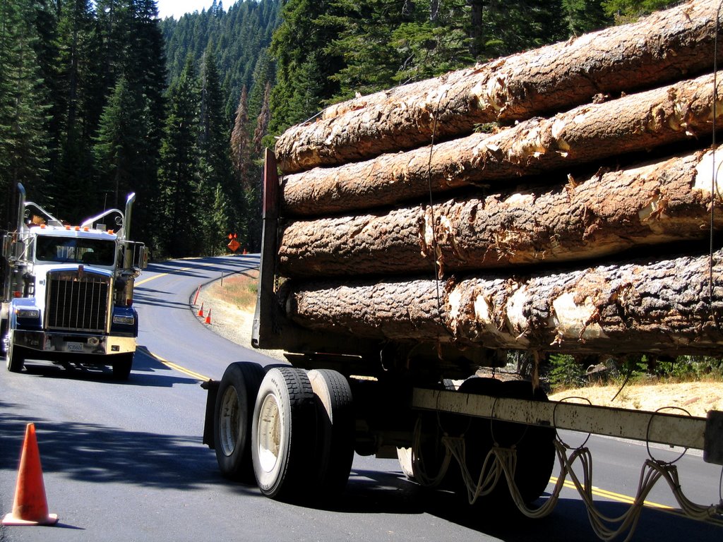 Logging Trucks on Quincy La Porte Road by Wanderlust_biker