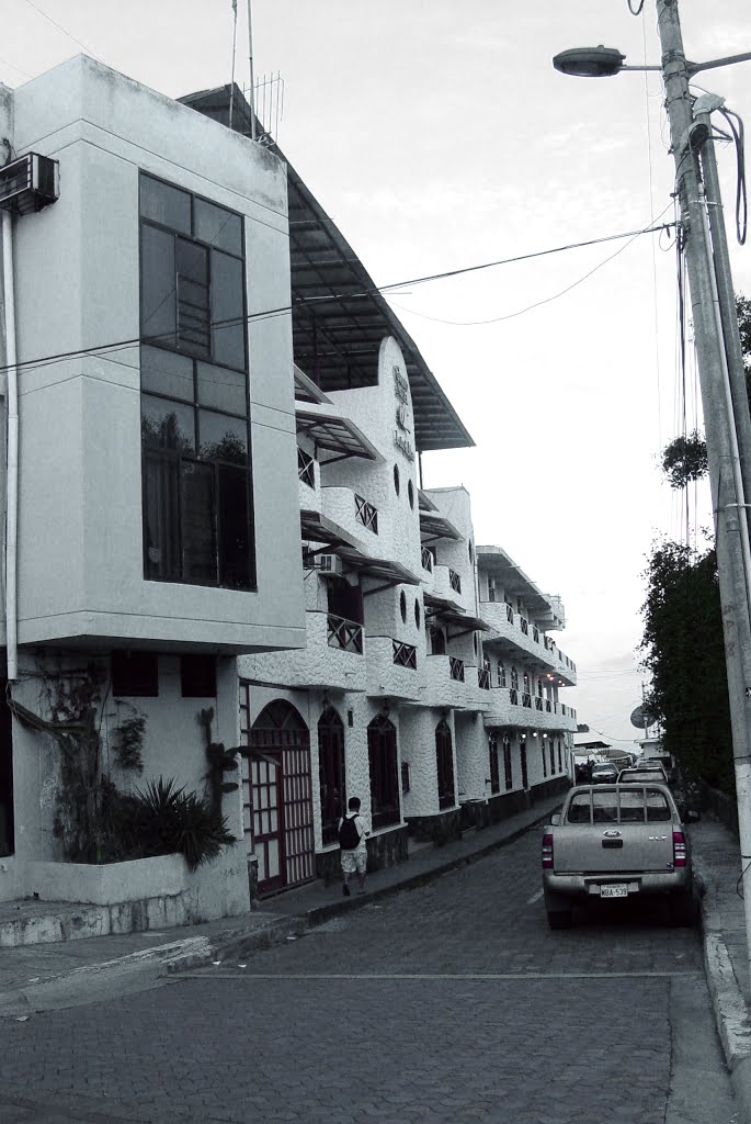 Gran Lobo del Mar, Hotel Puerto Ayola, Galápagos, Ecuador by Alvaro Espinel