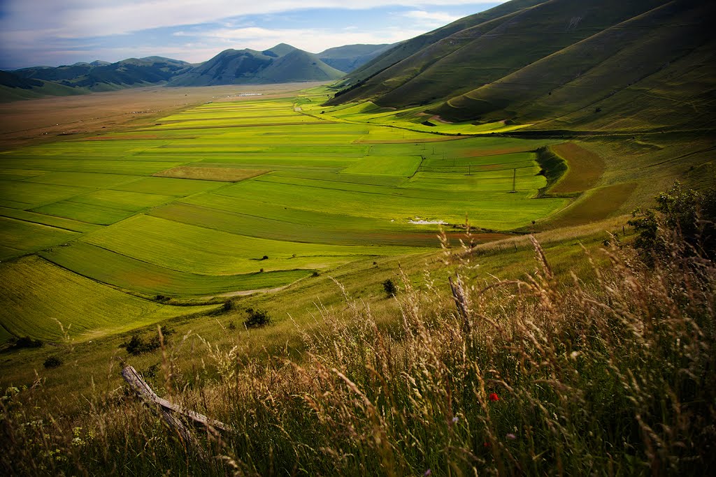 Castelluccio: la prima fioritura. by hanulu