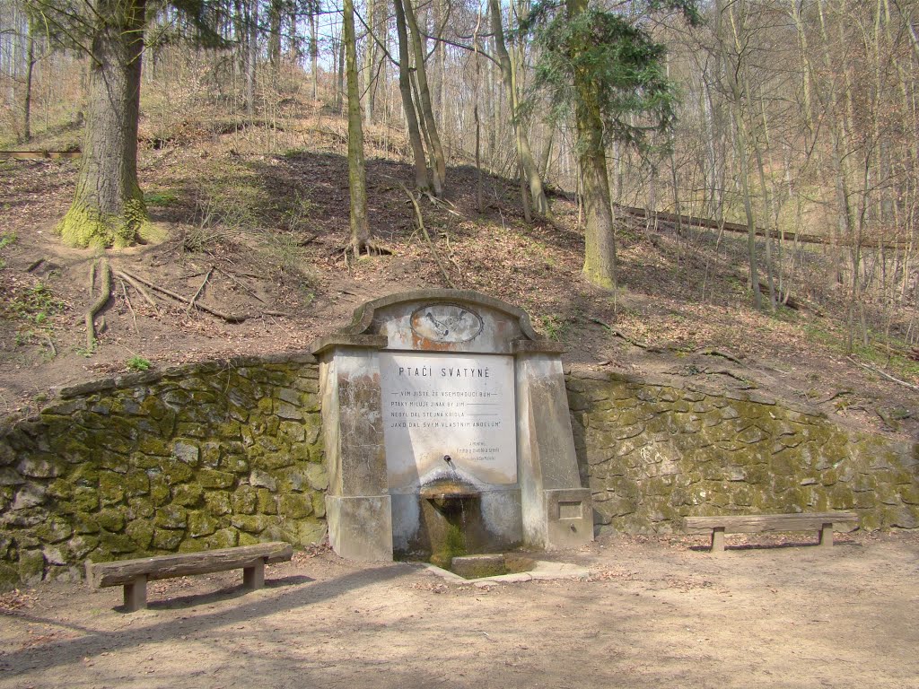 Studánka by Pavel Josifek