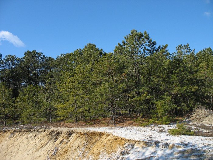 Quogue sandpit by PineyPhotosLI