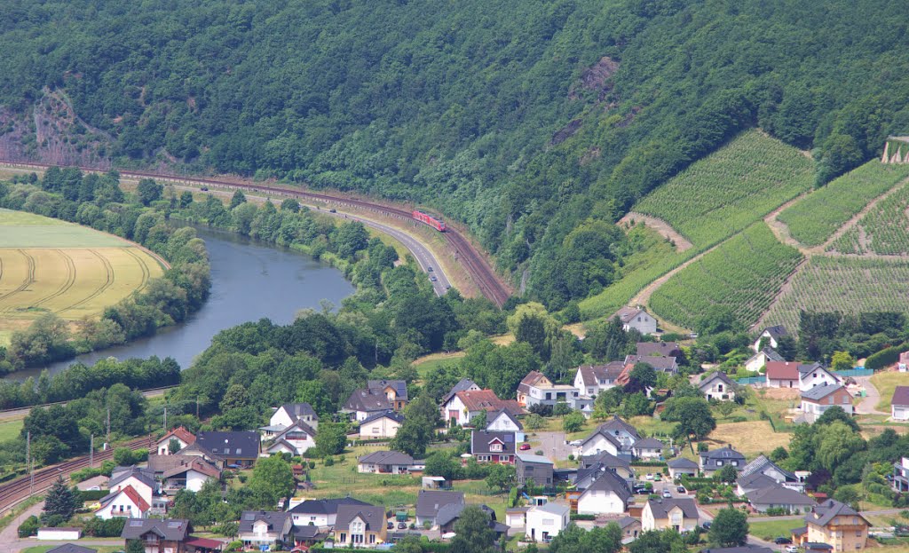 RB Trier - Homburg zwischen Saarburg und Serrig - 28.06.2015 by Ivonne Schauerhammer