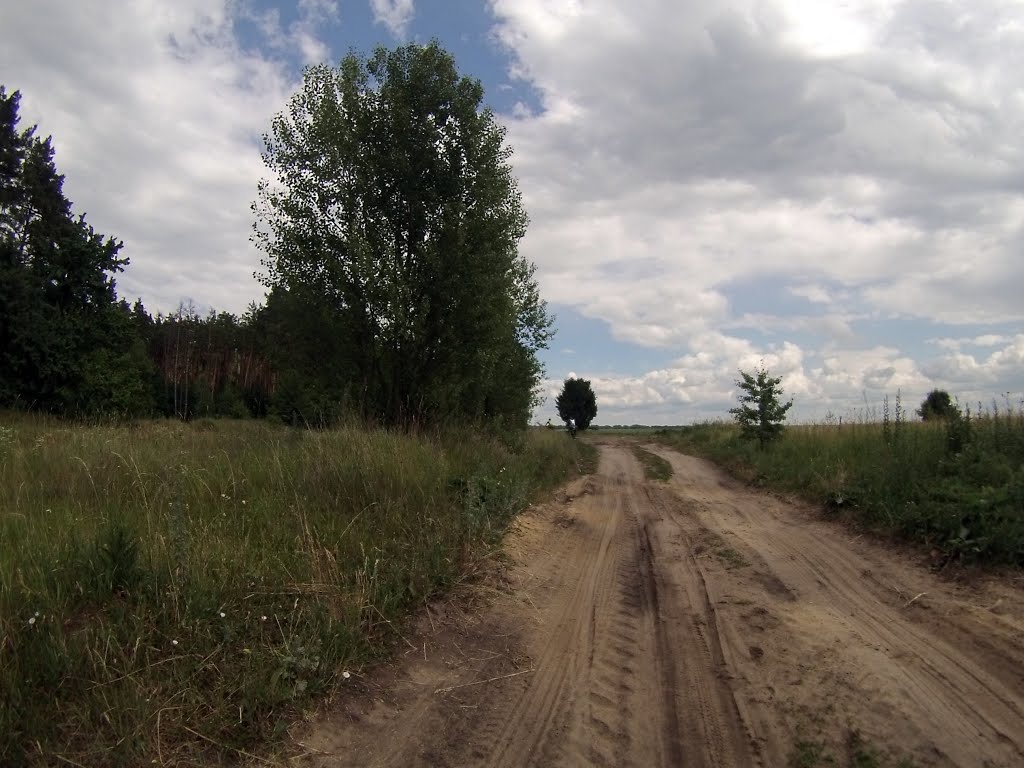 Photo taken in Андрушівський район, Житомирська область, Україна by Максим Алексейчук